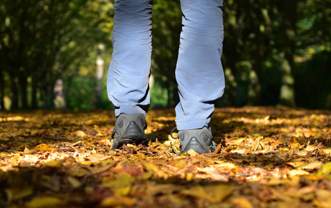 一个人走在地毯上落叶在阳光明媚的空地在一个秋天的一天木材