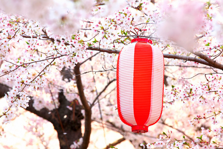 日式灯笼与樱花图片