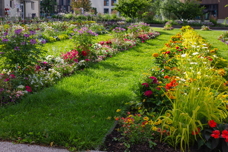 城市公园盛开的花朵在绿色草坪春天在德国南部城市施豪 gmuend
