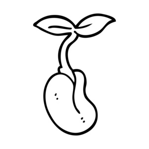 简单植物线条画图片