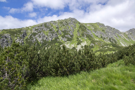 Furkot 山谷远足小径在高塔特拉山, 夏季旅游季节, 野生自然, 旅游小径