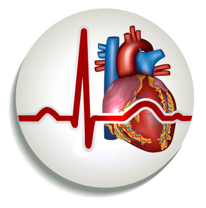 人类的心脏节律图标