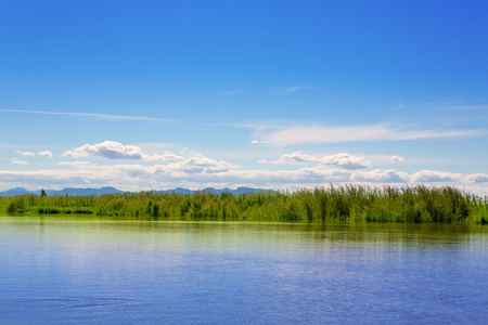在一个晴朗的蓝色天在瓦伦西亚泻湖湖