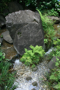 花园六本木山，东京日本