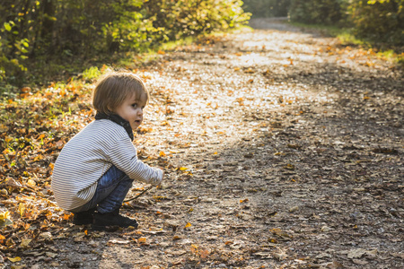 秋天在森林小径上玩耍的婴儿