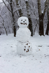 冬日森林里带着微笑的雪人。圣诞乐趣。新年庆典。霜冻和雪背景。冬季户外装饰。可怕的雪人