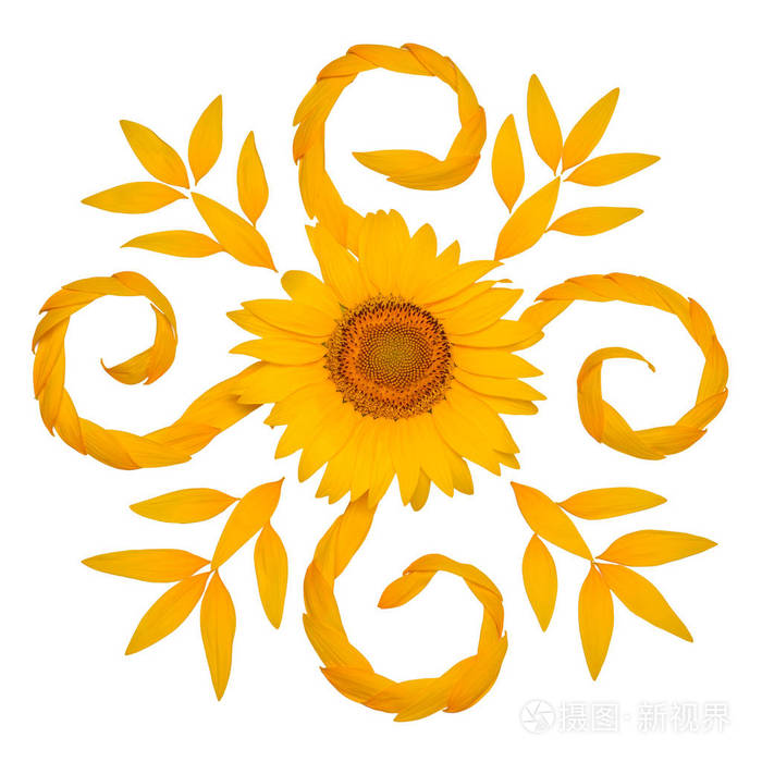 抽象和波.花卉图案.农业主题.文本的位置.平面布局, 顶部视图