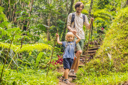 父亲和儿子走在森林用徒步棍子