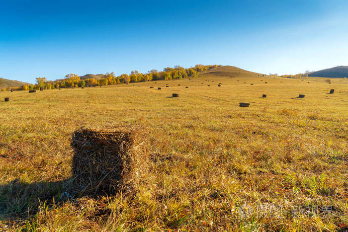 草原上的干草堆