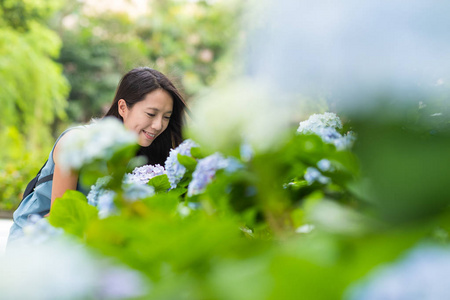 亚洲妇女看花园里的绣球花