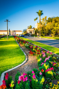 巴尔博亚公园，San Diego，加州花园