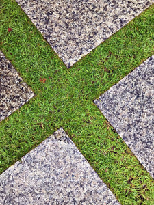 用作脚踏路径的陶瓷板之间的绿色草坪