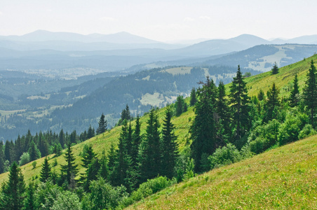 夏天山风景