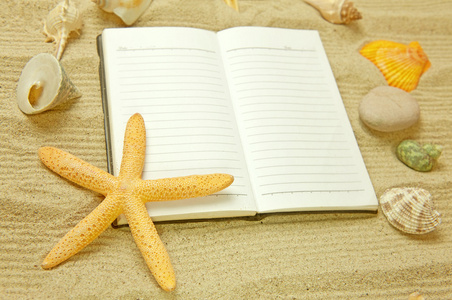 海星和贝壳与帧在沙滩上度假的记忆