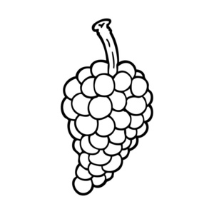 葡萄动画线条画动画片一串葡萄照片