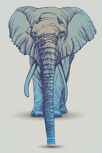 大象的轮廓与暗蓝色渐变填充的图像