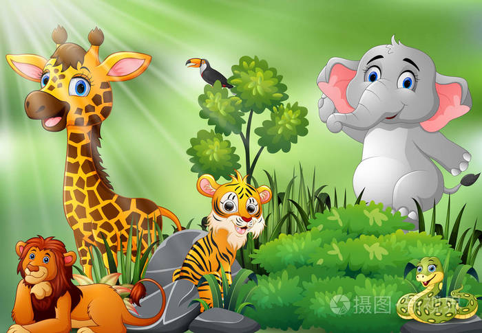 野生动物动画片自然场景