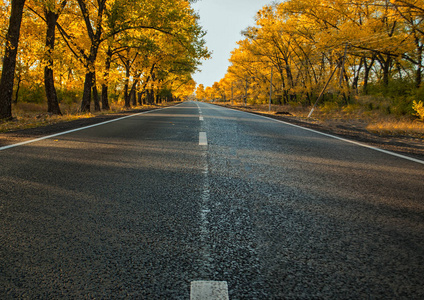 在秋天的道路在秋天天