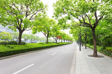 树木装饰在现代城市中的道路照片