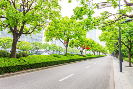 装饰的城市树木装饰在现代城市中的道路照片