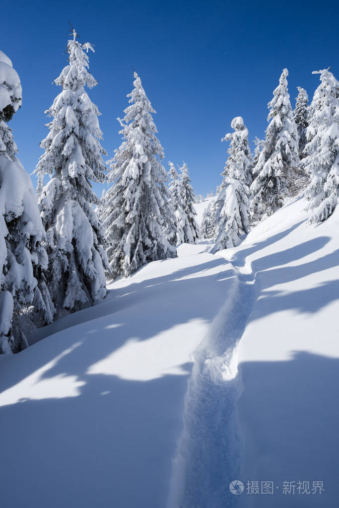 冬季仙境背景 在雪地里的人行道 在山林与云杉树的雪的风景 晴天寒冷的日子照片 正版商用图片0ap5mg 摄图新视界