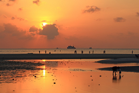 与金黄色的光效果，在海滩夕阳红