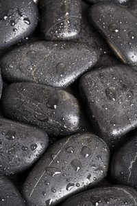 黑色鹅卵石图片