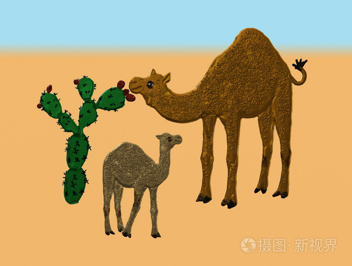骆驼吃仙人掌果