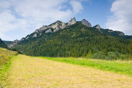 三个冠pieniny 波兰