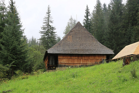 在一片绿色草地的中央的传统的古木斯洛伐克小屋