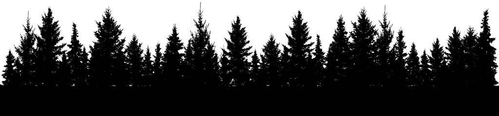 森林剪影 冷杉树。向量