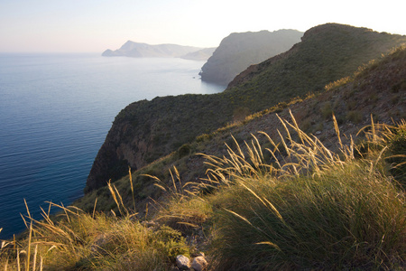 背光在沿海风景图片