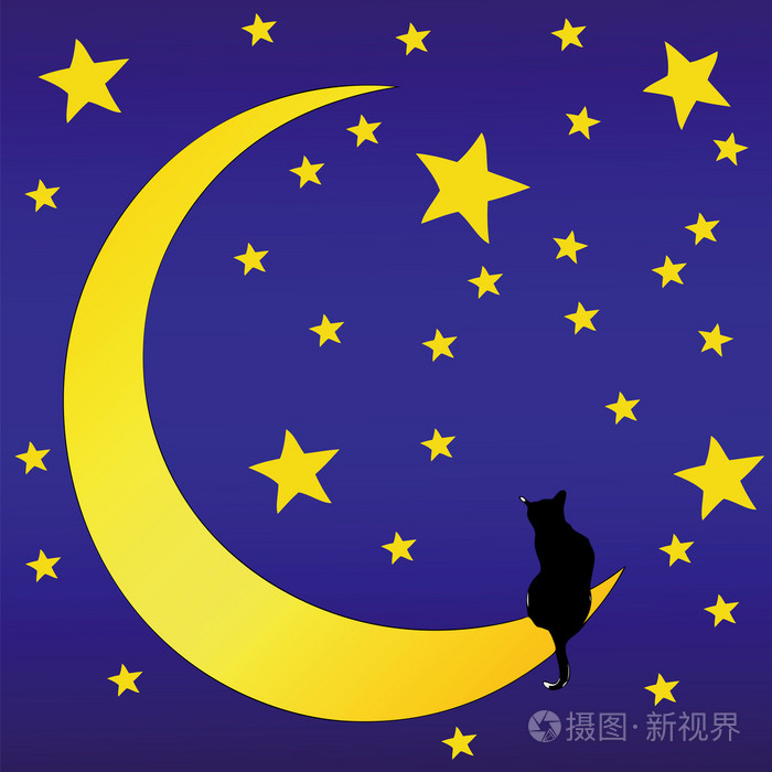 在一个繁星满天的猫