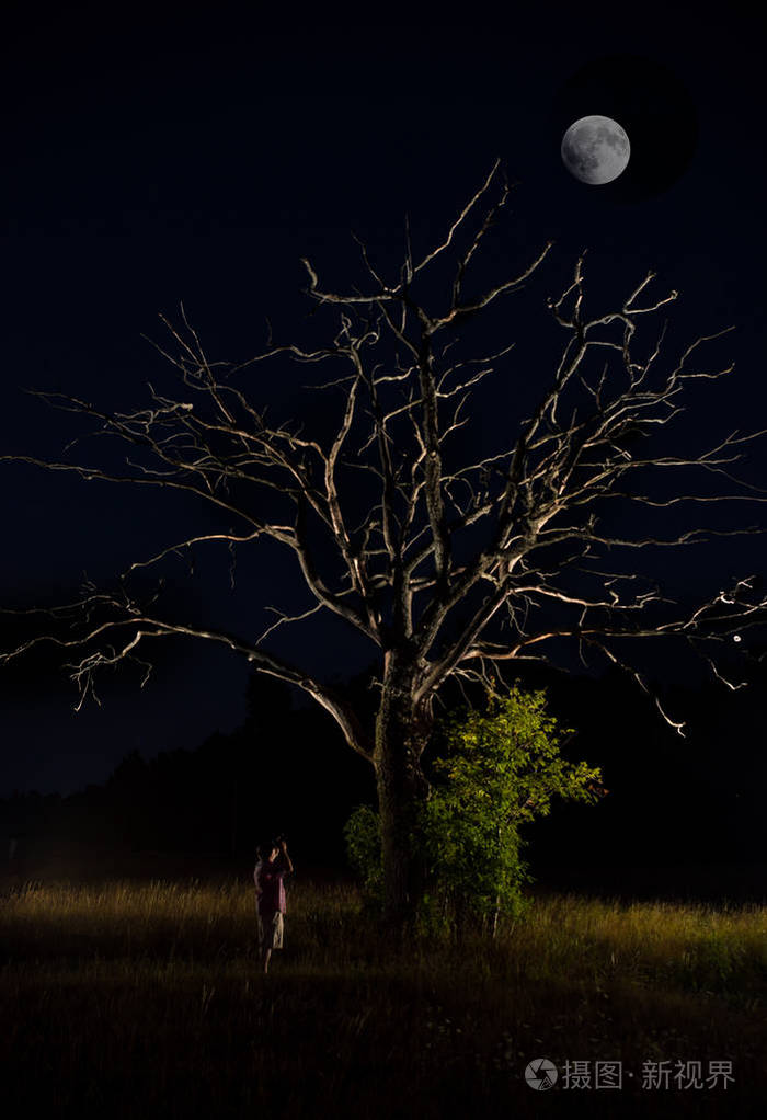 月亮里面的树和人图片图片