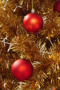 红色球金子圣诞树为背景