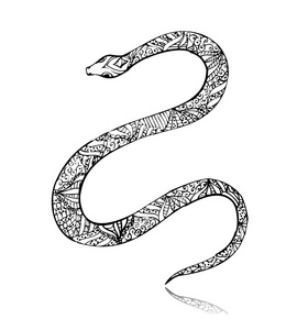 美丽复古艺术蛇照片