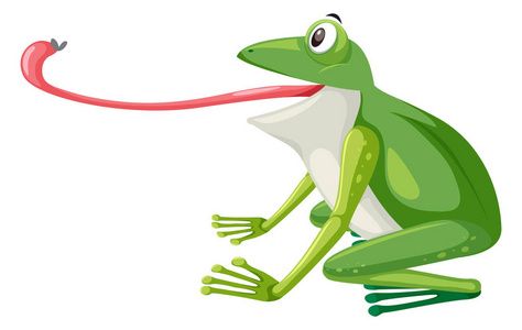 绿色青蛙在白色背景例证
