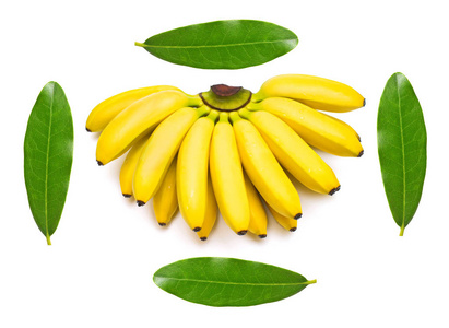 收集一串香蕉宝宝和叶子查出在白色背景。平面布局, 顶部视图