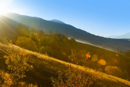 梦幻般的雾蒙蒙的秋日早晨和明亮的草地在阳光下。喀尔巴泰, 乌克兰, 欧洲