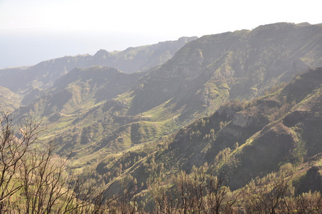 在特内里费岛山