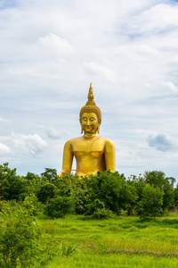 angthong 省的稻田风光与大金佛雕像