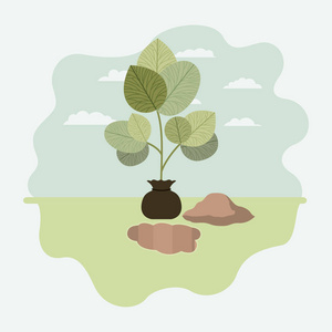 在麻袋栽培的树植物照片