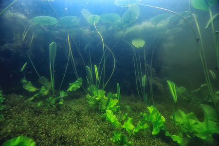 水下景观透明湖泊淡水生态系统异常景观