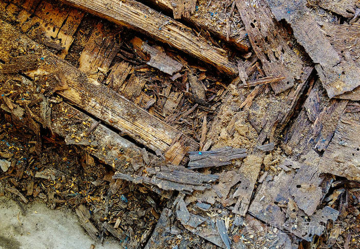 旧的木制纹理特写.抽象背景