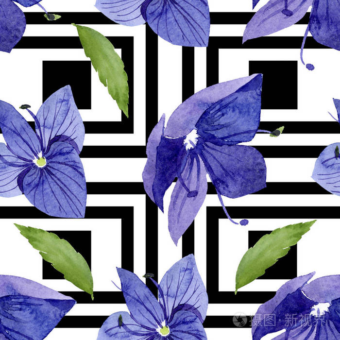 水彩蓝色维罗妮卡花花卉植物花卉无缝的背景模式