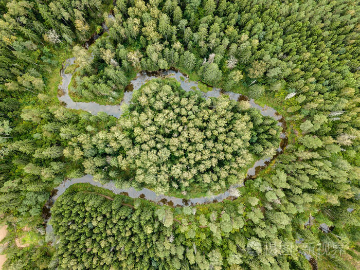在树林里, 有田野和森林的乡村地区的鸟瞰图.拉脱维亚, viesata 河