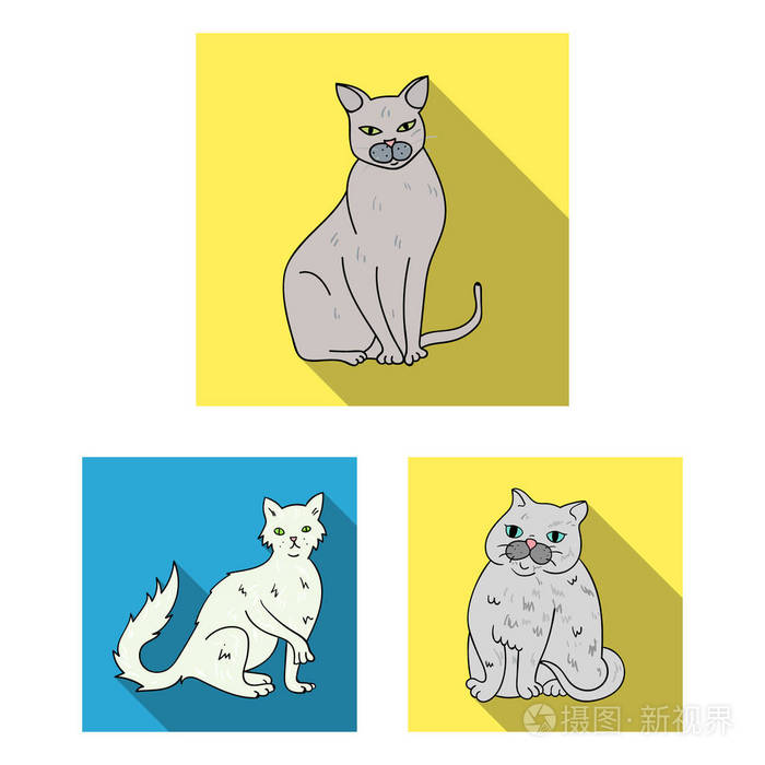 品种的猫在集设计集合的平面图标。宠物猫矢量符号股票网页插图