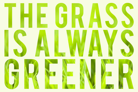 草是总是更绿