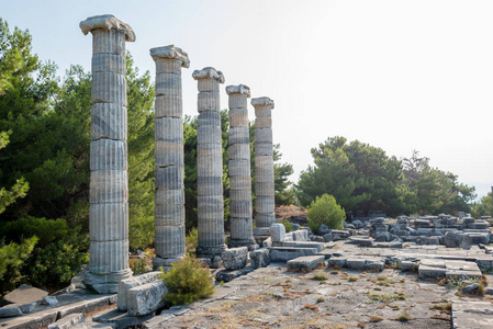 Priene宗师Aydin土耳其古希腊城市雅典娜寺的大理石柱