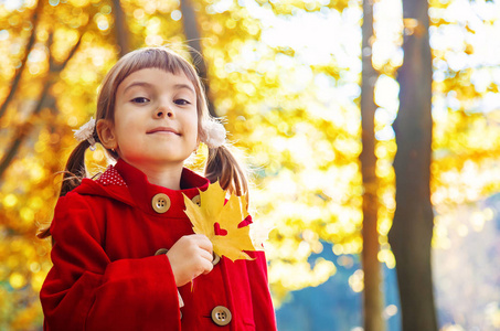 带着秋叶的红色大衣的孩子。爱秋。选择性对焦。自然
